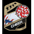 Cheer Cobra Medals